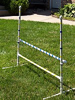 Standard Single Bar Training Jump