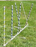 Adjustable Training Weave Poles - 12 set